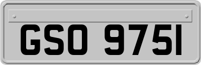 GSO9751