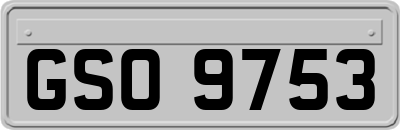 GSO9753