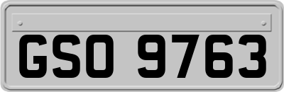 GSO9763
