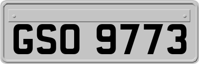 GSO9773
