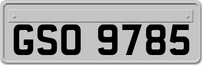GSO9785