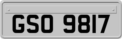 GSO9817