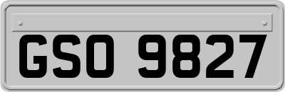 GSO9827