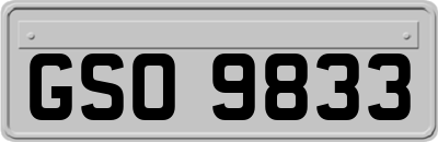GSO9833