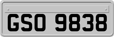 GSO9838