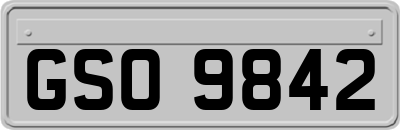 GSO9842
