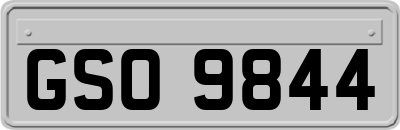 GSO9844