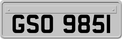 GSO9851