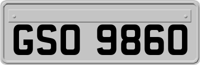 GSO9860