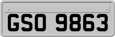 GSO9863