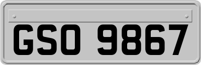 GSO9867