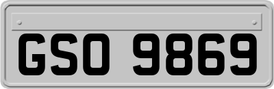GSO9869