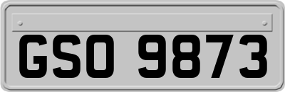 GSO9873