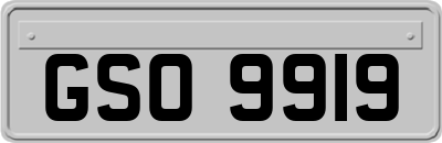 GSO9919