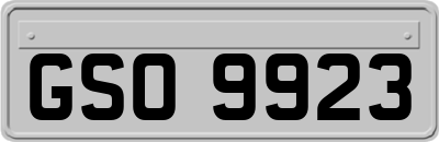 GSO9923