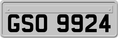 GSO9924