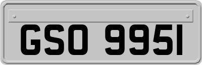 GSO9951