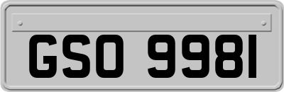 GSO9981