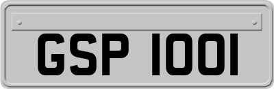 GSP1001