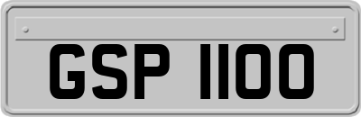 GSP1100