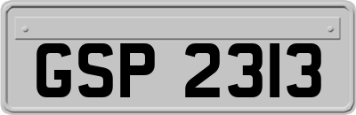 GSP2313