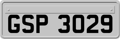 GSP3029