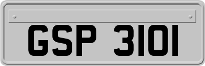 GSP3101