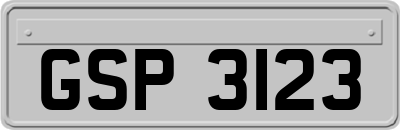 GSP3123