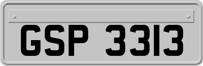 GSP3313