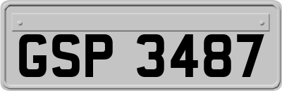 GSP3487