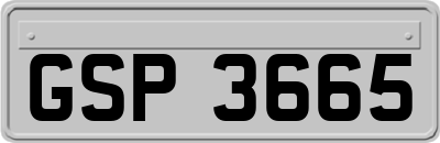 GSP3665