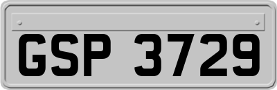 GSP3729