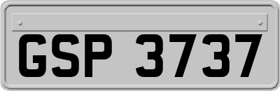 GSP3737