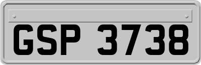 GSP3738