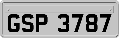 GSP3787