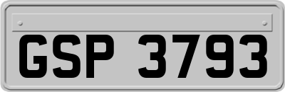 GSP3793