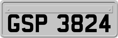 GSP3824