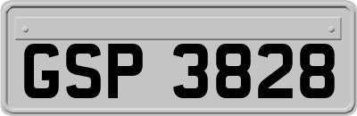 GSP3828