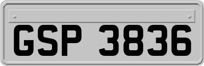 GSP3836