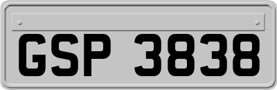 GSP3838