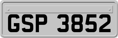 GSP3852