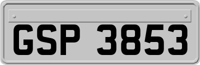 GSP3853