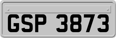 GSP3873