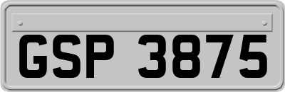 GSP3875