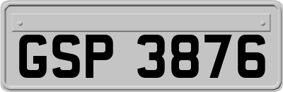 GSP3876