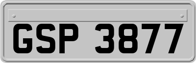 GSP3877