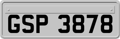 GSP3878