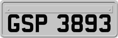 GSP3893