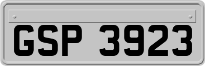 GSP3923