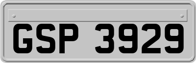 GSP3929